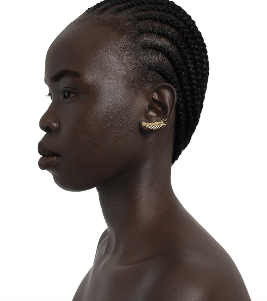 Vulture Wing Earrings