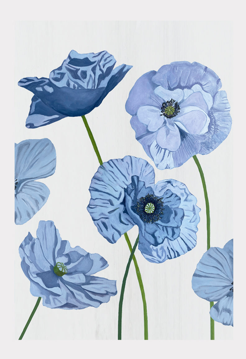 Art Print: Blue Poppies on Pale Grey