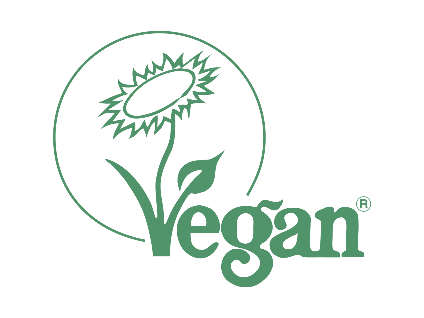 Scrub Cleaning Brush