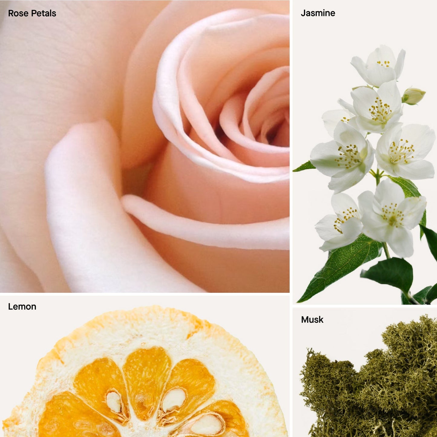 BAIES - 16 FL OZ LINEN & ROOM SPRAY