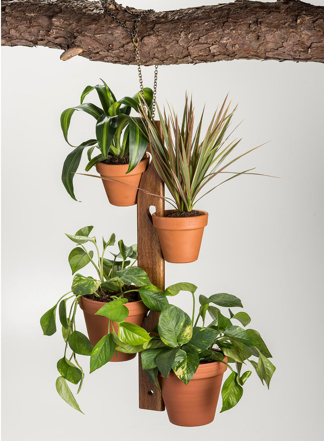 4 Pot Hanging Plant Holder