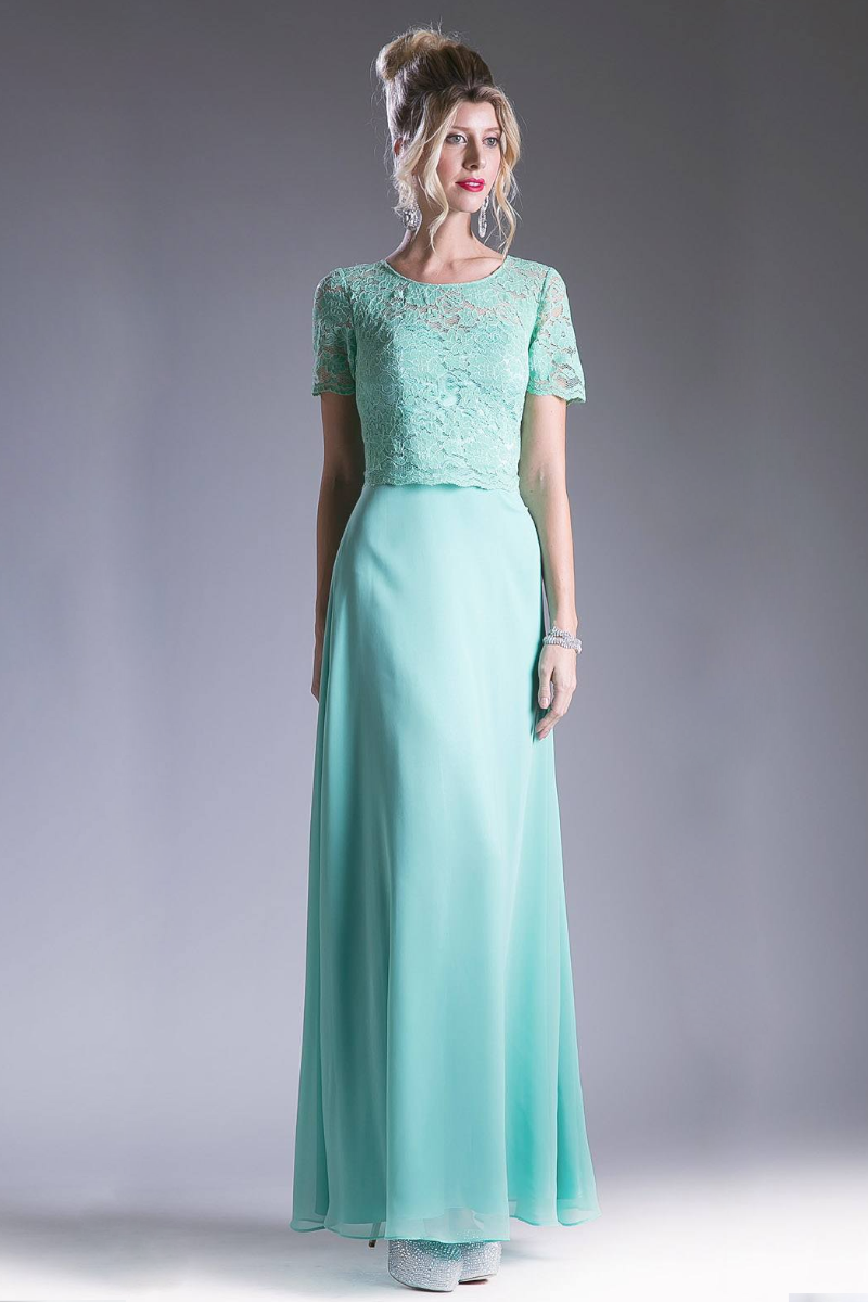 Long Chiffon Dress with Short Sleeves