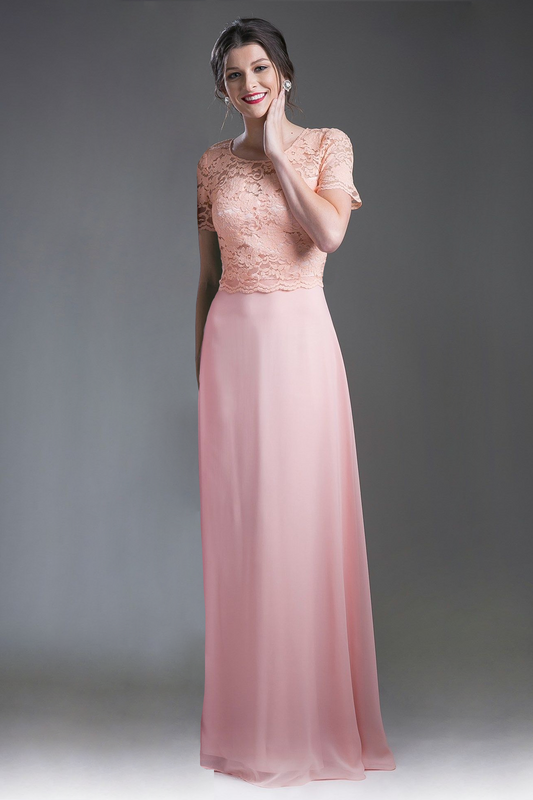 Long Chiffon Dress with Short Sleeves