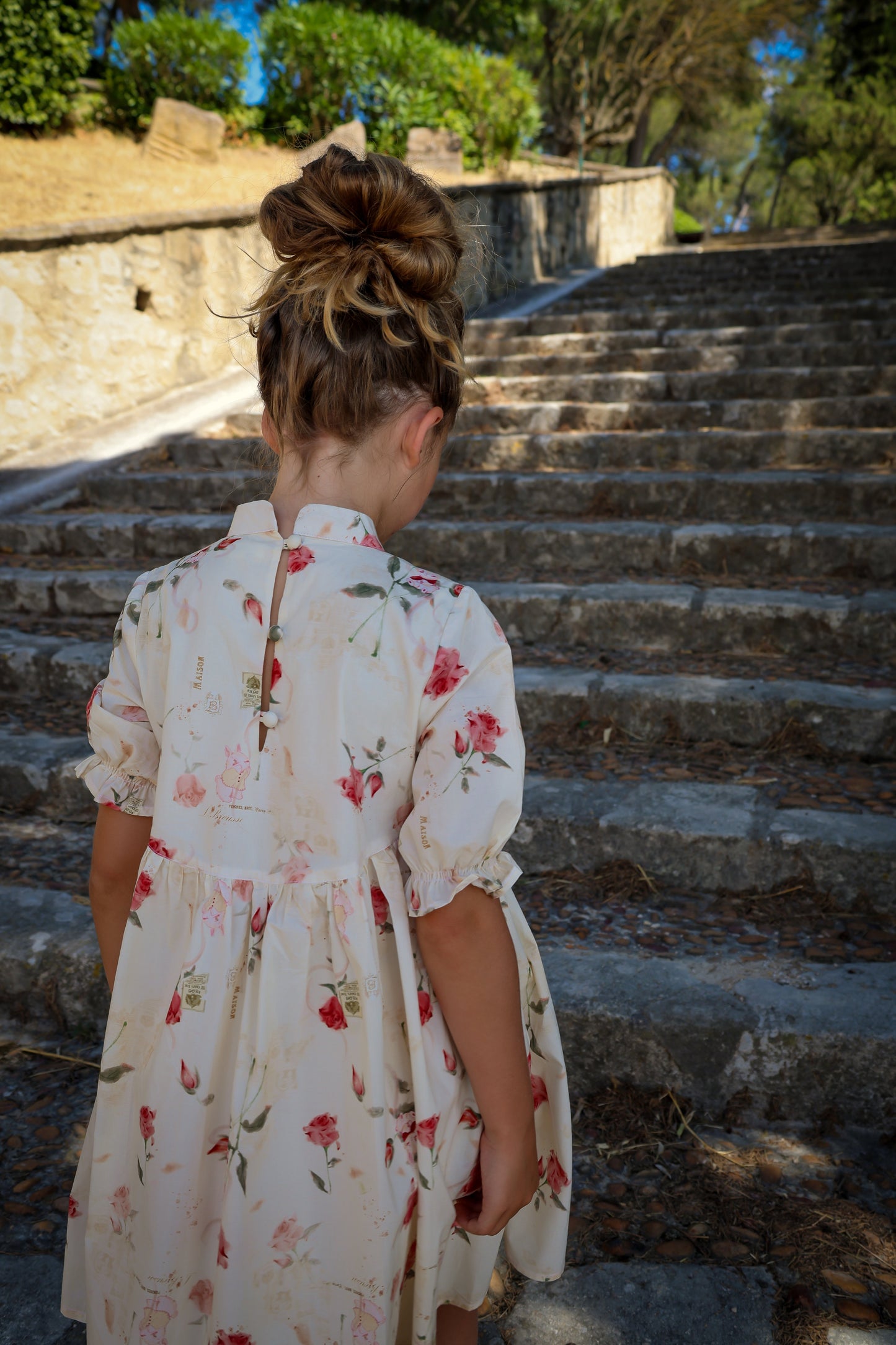 Madeleine Dress- Rose Garden Toile