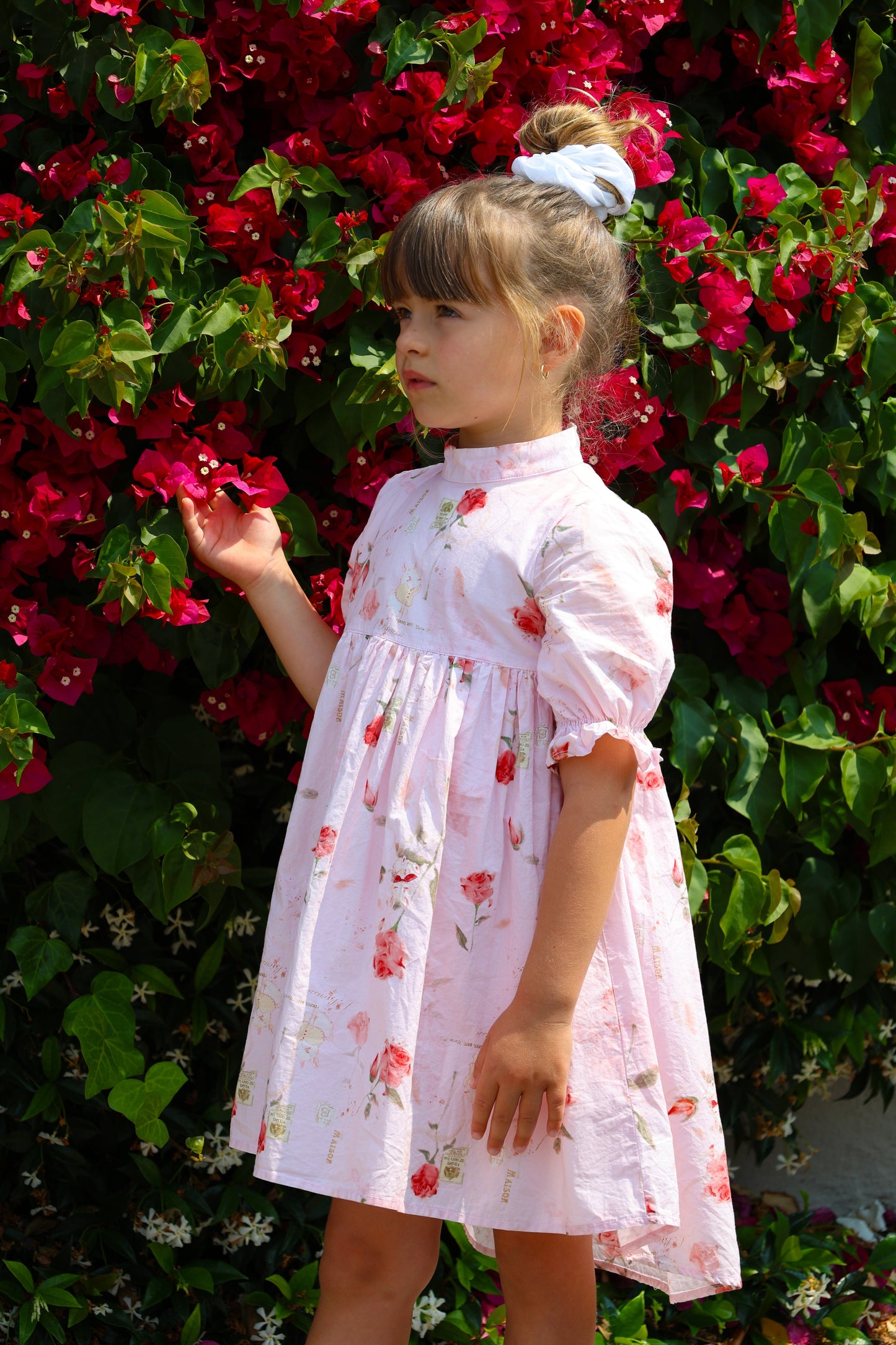 The Madeleine Dress-Blush Rose