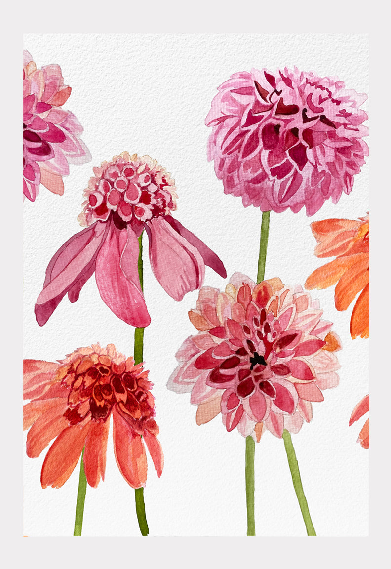 Art Print:  Anemone Dahlia on Snow
