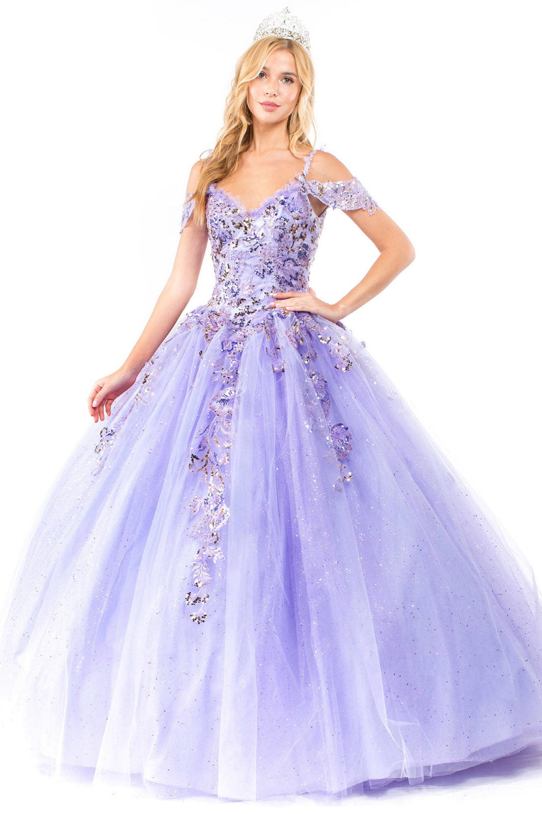 Embroidery Embellished Glitter Mesh Quinceanera Dress GLGL1969 Elsy Style QUINCEANERA