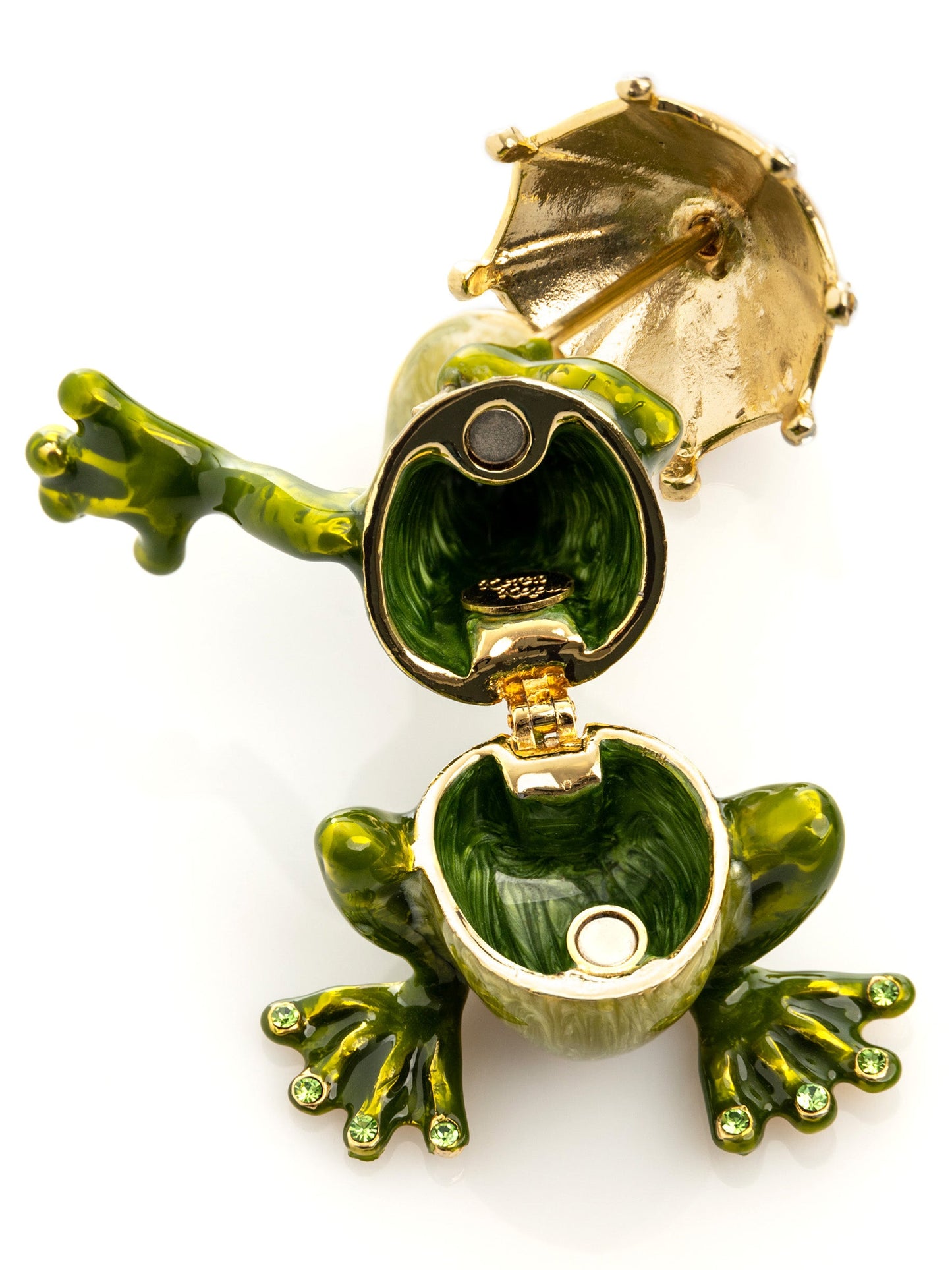 Frog holding an Umbrella