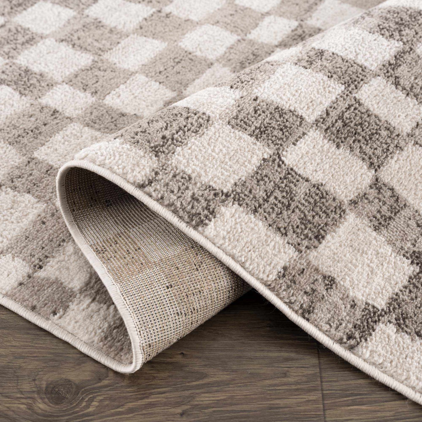 Benjy Beige Checkered Area Rug