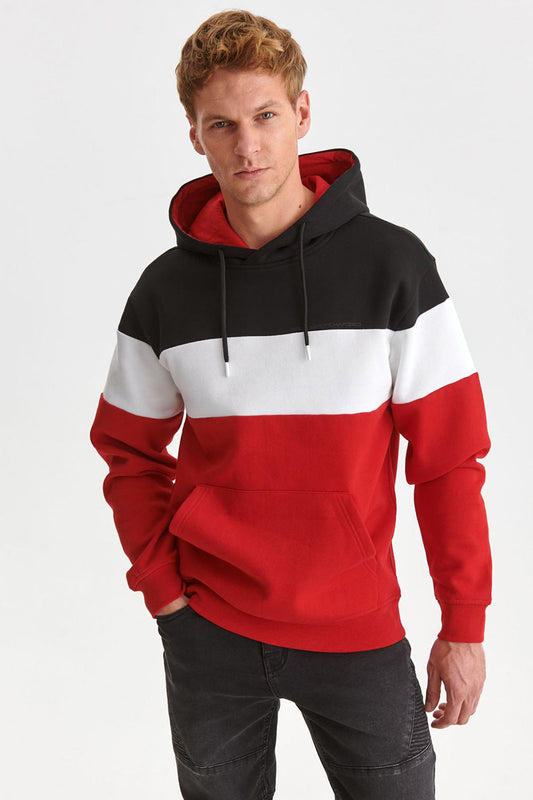 Sweatshirt model 174322 Elsy Style Men`s Sweatshirts