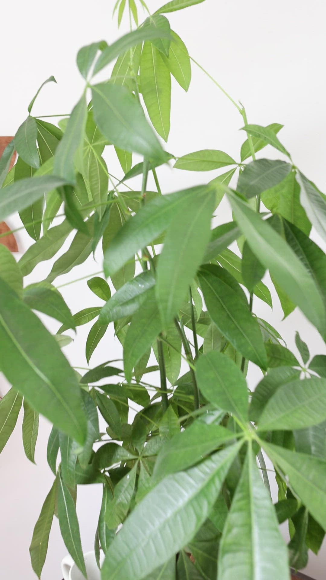 Large Luna Moon Phase Wall Hanging