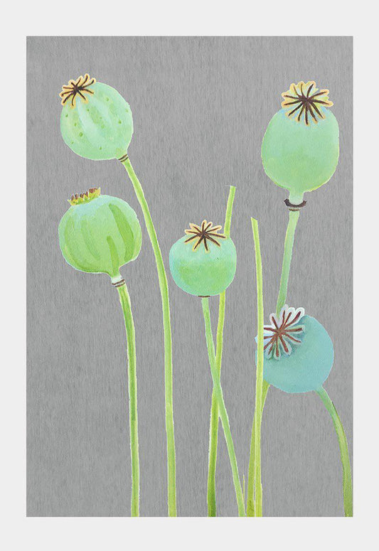 Art Print:  Poppy Pods on Grey