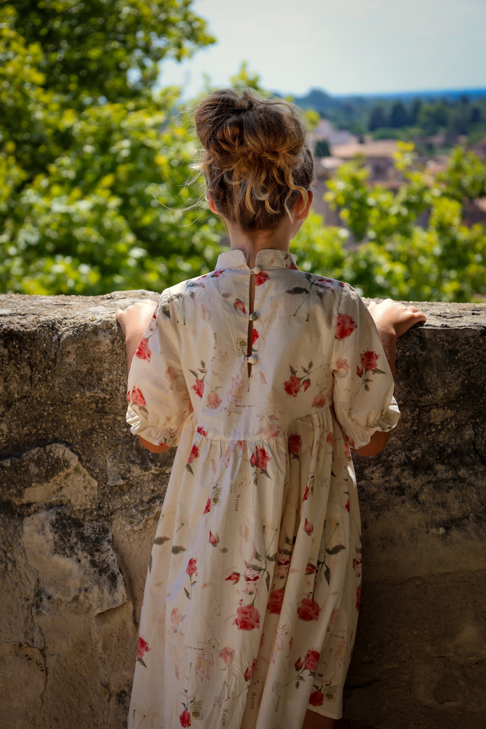 Madeleine Dress- Rose Garden Toile