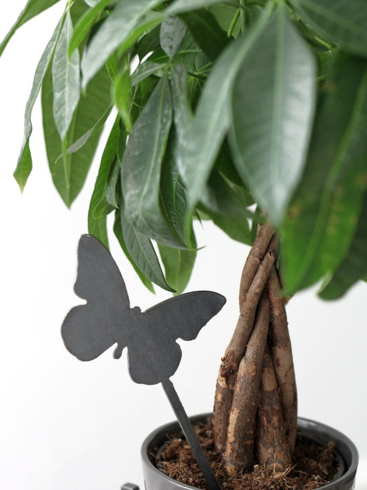 Butterfly Plant Stake
