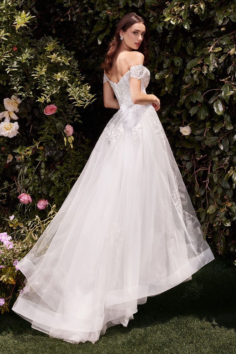 Off The Shoulder A-Line Lace & Tulle Wedding Dress