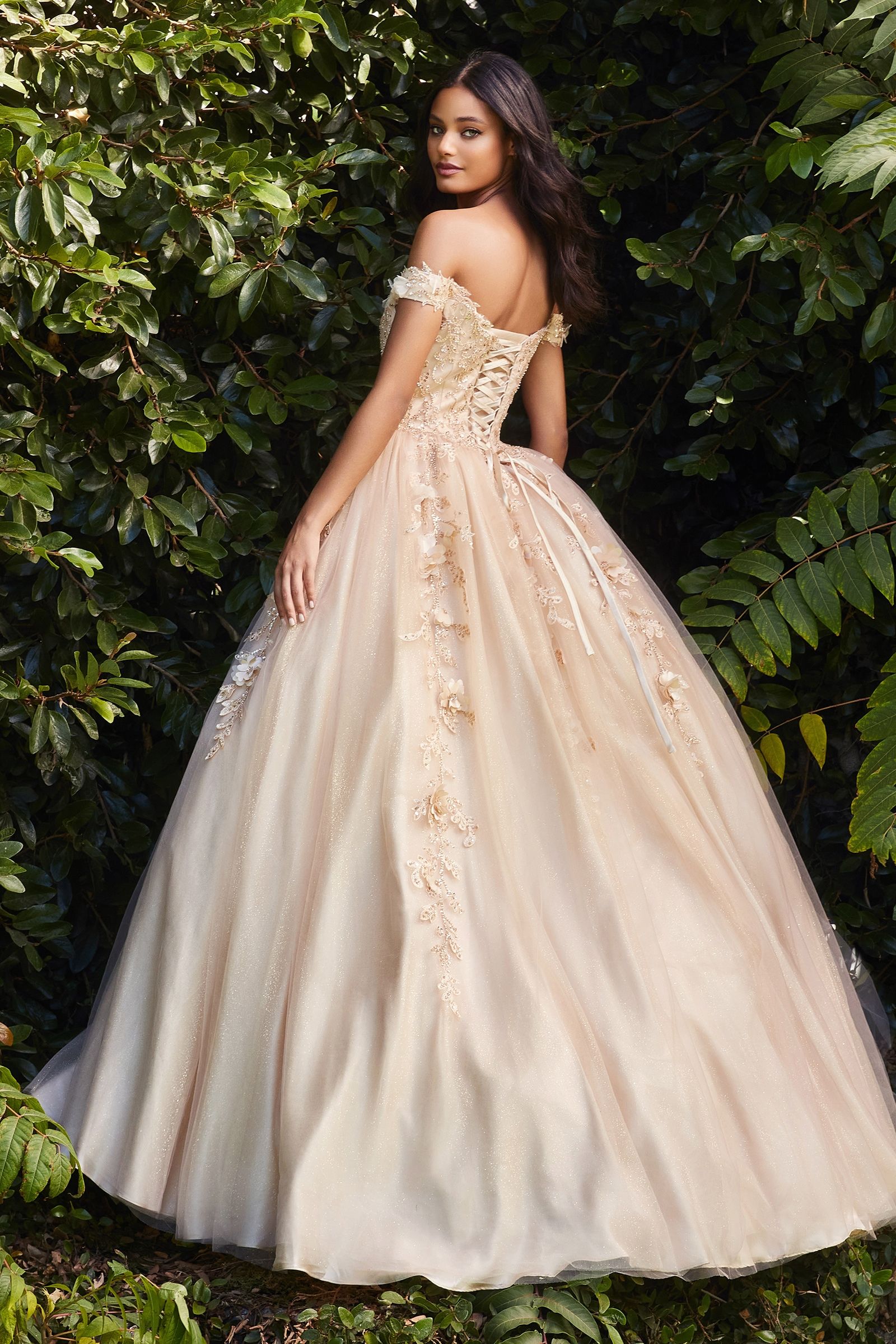 Off The Shoulder Layered Tulle Ball Gown