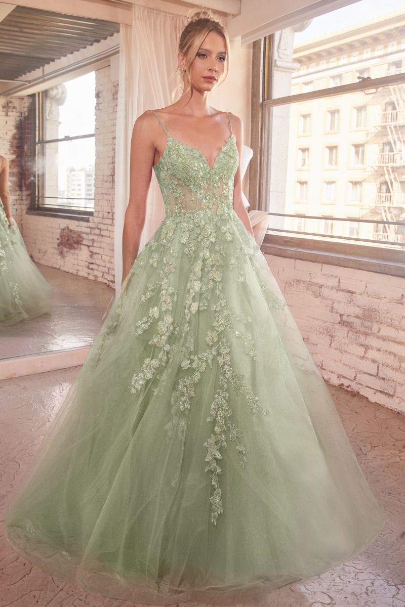Floral Appliqued Ball Gown