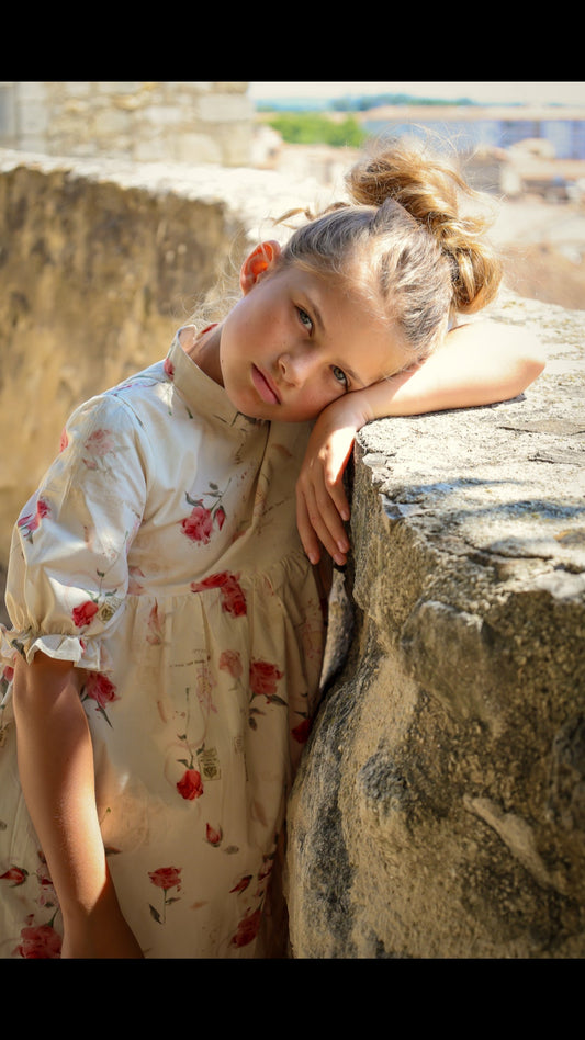 Madeleine Dress- Rose Garden Toile