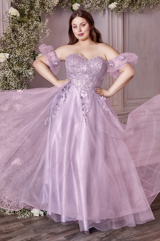 Strapless Tulle Ball & Prom Plus Size Gown Structured Embroidered Sequin Appliqué Corset Floral Vintage Dress A-line Skirt CDCD0191C-0